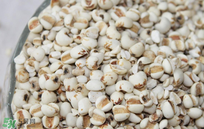 孕婦能吃米仁嗎？孕婦可以吃米仁嗎？