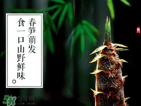 春筍多少錢一斤？春筍多少錢一斤2017？