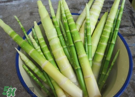 春筍多少錢一斤？春筍多少錢一斤2017？