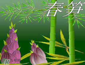 春筍多少錢一斤？春筍多少錢一斤2017？