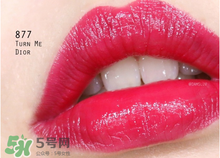 迪奧877是什么顏色？迪奧877適合黃皮嗎？