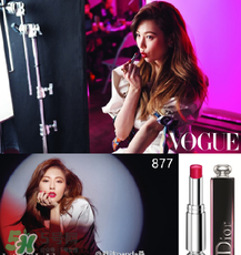 迪奧877是什么顏色？迪奧877適合黃皮嗎？