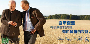 喜寶米粉怎么樣？喜寶米粉如何？