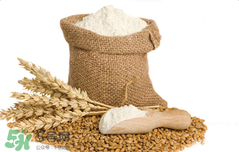 hipp喜寶米粉怎么沖？hipp喜寶米粉沖調(diào)方式