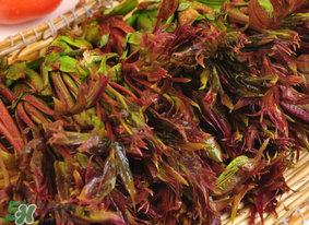 香椿幾月份可以吃？香椿什么時(shí)候吃？