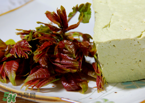 香椿為什么會苦？香椿苦味怎么回事？