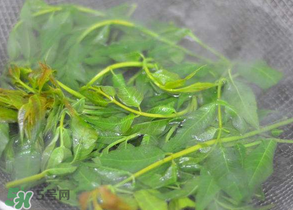 香椿為什么要焯水？香椿怎么焯水？