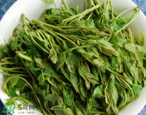 香椿什么人不能吃？香椿哪些人不能吃？