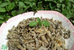 構(gòu)樹穗孕婦能吃嗎？孕婦能吃構(gòu)樹穗嗎？