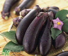 孕婦不能吃茄子嗎？為什么孕婦不能吃茄子？