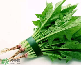 孕婦可以吃菠菜嗎？孕婦菠菜吃多了會(huì)怎樣？