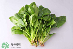 孕婦可以吃菠菜嗎？孕婦菠菜吃多了會(huì)怎樣？
