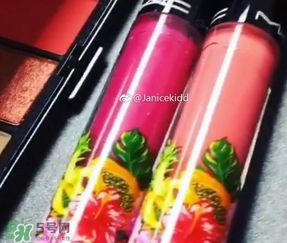 mac2017夏季fruity juicy系列有哪些？