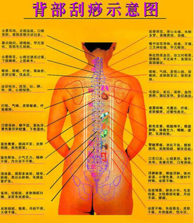 背部怎么刮痧視頻？背部刮痧手法視頻