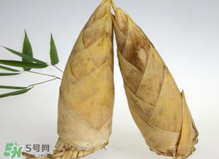 竹筍什么時(shí)候長(zhǎng)出來(lái)？竹筍幾月份長(zhǎng)出來(lái)？