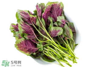 孕婦能吃莧菜嗎？孕婦可以吃莧菜嗎？