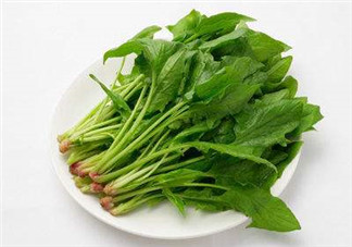 孕婦可以吃菠菜嗎？孕婦菠菜吃多了會(huì)怎樣？