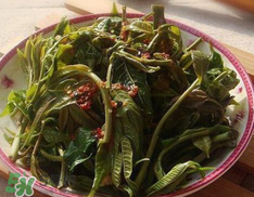 香椿要過(guò)水嗎？香椿怎么過(guò)水？