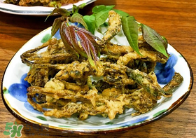 香椿什么時候吃？香椿什么時候不能吃？