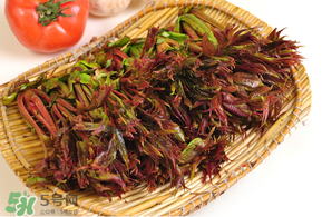 香椿什么時候吃？香椿什么時候不能吃？