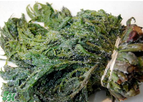 香椿腌制多久可以吃？香椿腌多長時間能吃？