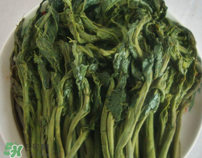 香椿腌制多久可以吃？香椿腌多長時間能吃？