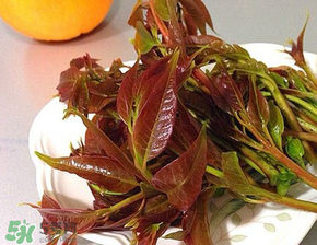 香椿可以冷凍嗎？香椿凍了能吃嗎？