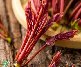 香椿能放冰箱嗎？香椿放冰箱能保存多久？