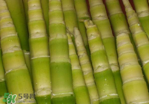 竹筍不焯水有毒嗎？竹筍不過水能吃嗎？