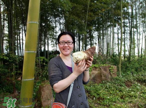 竹筍什么時(shí)候挖？竹筍幾月挖？