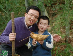竹筍什么時(shí)候挖？竹筍幾月挖？