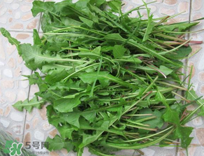 婆婆丁孕婦能吃嗎？婆婆丁孕婦可以吃嗎？