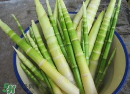 竹筍能放冰箱嗎？竹筍放冰箱怎么保存？