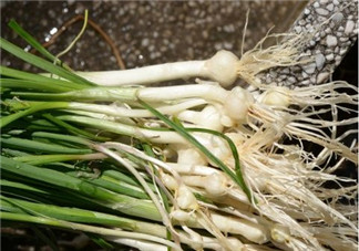 小根蒜孕婦能吃嗎？小根蒜孕婦可以吃嗎？