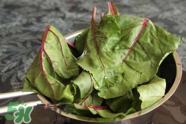 甜菜葉是否可以生吃？甜菜葉可以生吃嗎