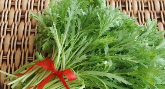 苦苦菜是什么菜？苦苦菜是苦苣嗎