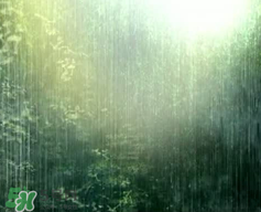 四月份會一直下雨嗎？2017年四月份為什么一直下雨？