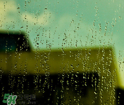 四月份會一直下雨嗎？2017年四月份為什么一直下雨？