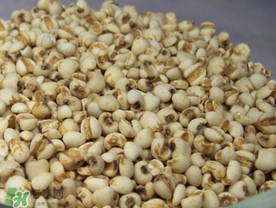 孕婦能吃薏米嗎？孕婦可以吃薏米嗎？