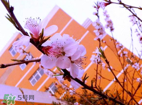 2017年四月份天氣如何？2017年四月份天氣預(yù)報