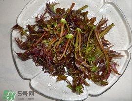 涼拌香椿要過水嗎？香椿涼拌前需要用開水焯一下嗎？