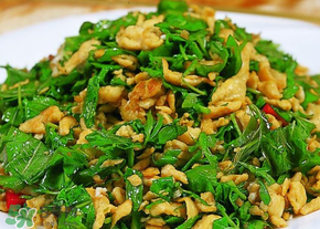 香椿可以生吃嗎？香椿能生吃嗎？