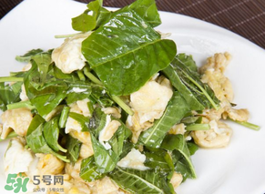 香椿可以生吃嗎？香椿能生吃嗎？