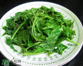 香椿生吃有毒嗎？香椿生吃好還是熟吃好？