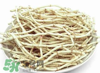 新鮮魚腥草怎么煮水？魚腥草怎么煮水喝