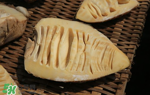 竹筍什么時(shí)候有？竹筍什么時(shí)候最好吃？