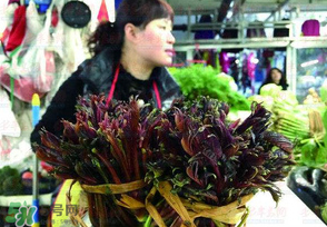 香椿很貴嗎？香椿為什么那么貴？