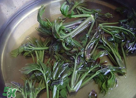 香椿為什么要用開(kāi)水燙？香椿用開(kāi)水燙多久？