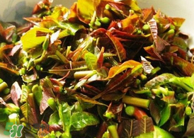 香椿為什么要用開(kāi)水燙？香椿用開(kāi)水燙多久？