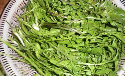 地菜是什么菜？地菜是不是薺菜